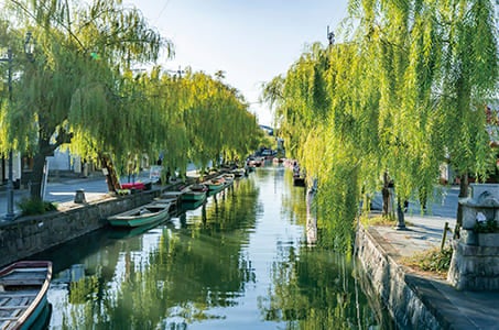 【大分・別府発着】水郷柳川とうなぎ・贈答用あまおう1パックお持ち帰り付き 日帰り1